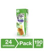 Nectar Piña pack 24 Un 190 ml